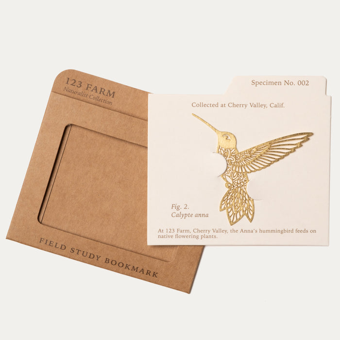 Field Study Bookmark — Anna’s Hummingbird