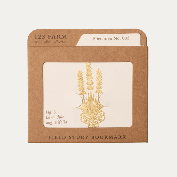Field Study Bookmark — English Lavender
