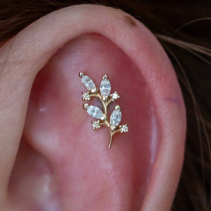 Flat / Faux Rook Piercing