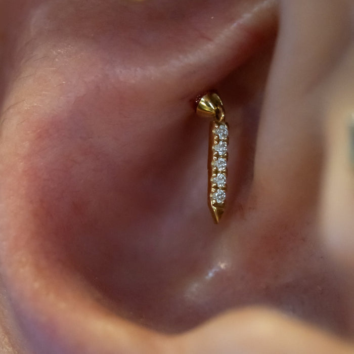 Hidden Rook Piercing