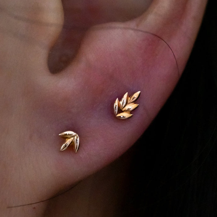 Lobe Piercing