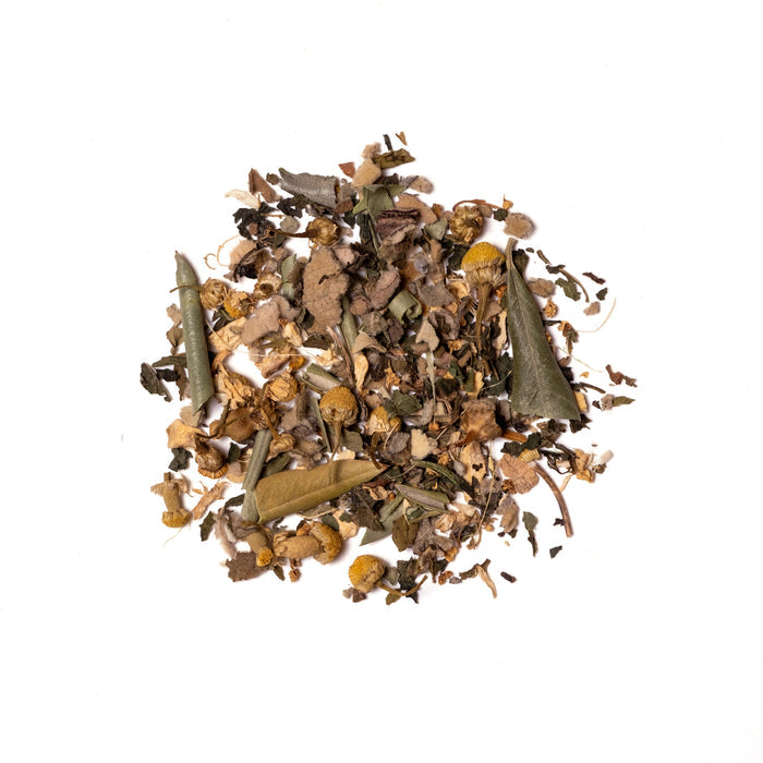 Olive Leaf Tea: Sinus Support Tea