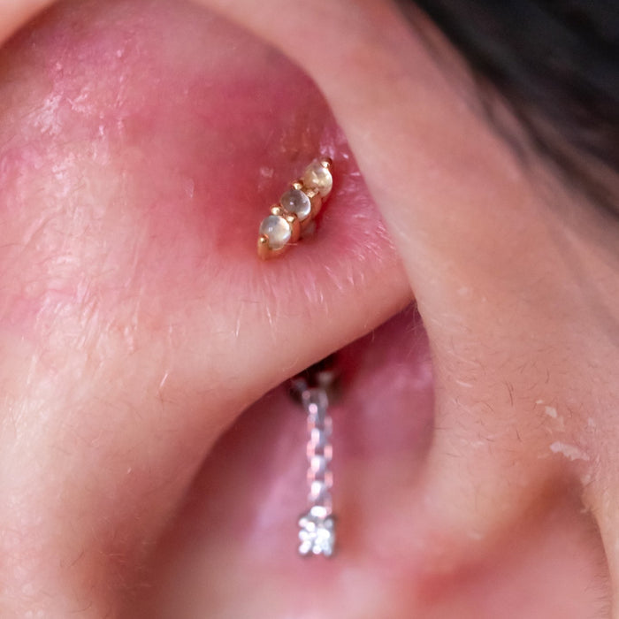 Rook Piercing