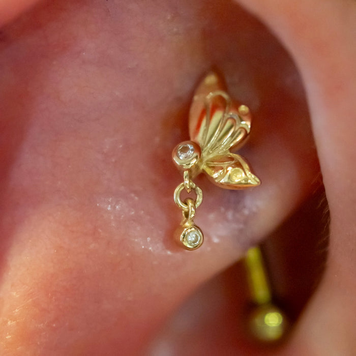 Rook Piercing