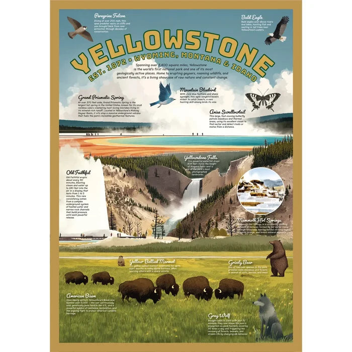 Yellowstone Puzzle